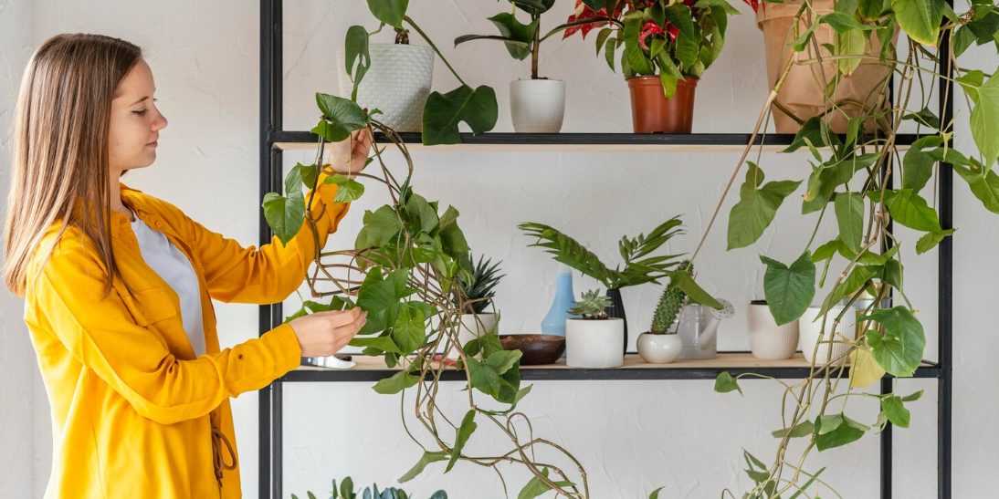 come arredare un terrazzo di 15 mq 