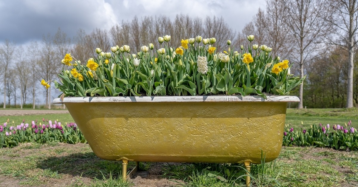 vecchia vasca da bagno piena di fiori