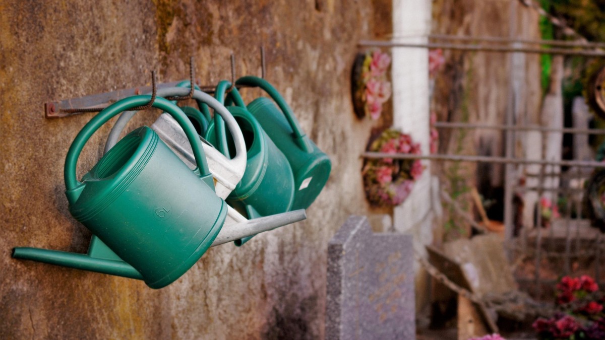 annaffiatura per immersione