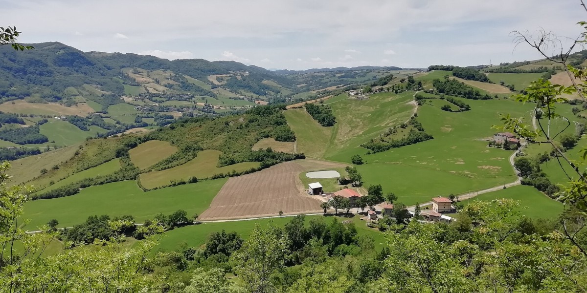 dove vive Luca Carboni 