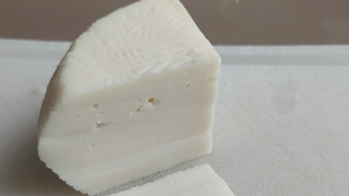 formaggi tipici trentino alto adige