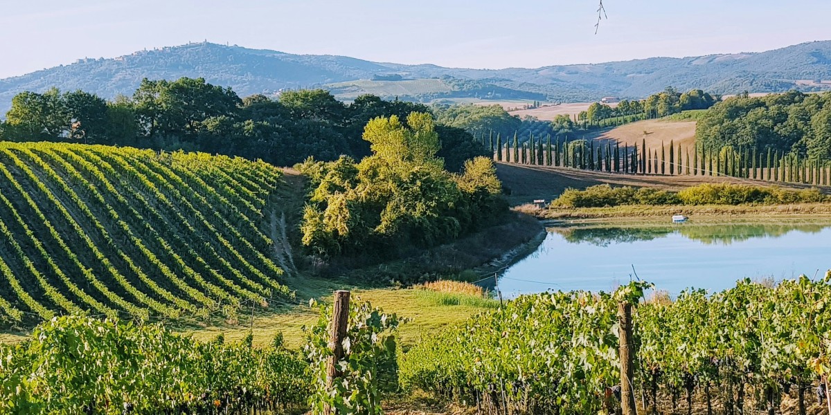 wine regions of Italy