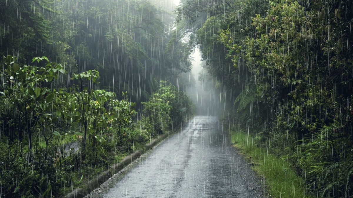 citta piu piovosa al mondo