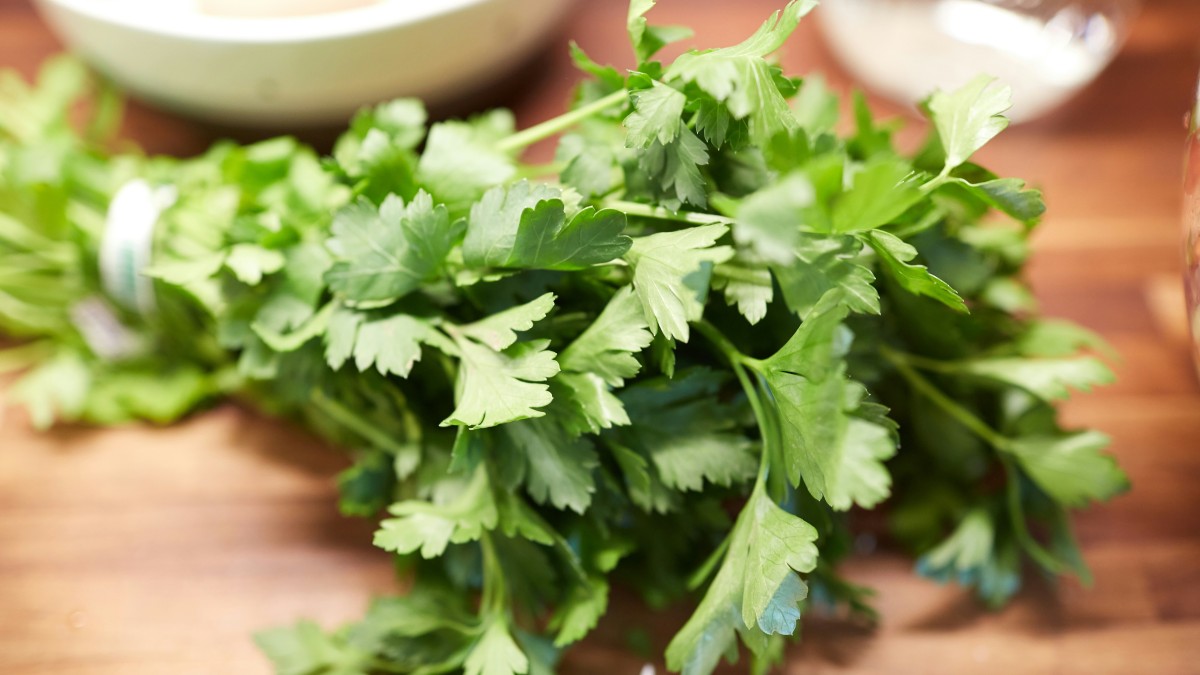 piante aromatiche casa