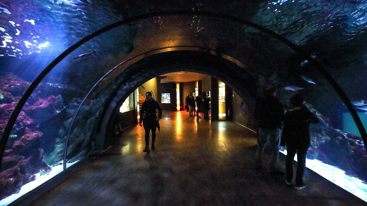 acquario civico di Milano