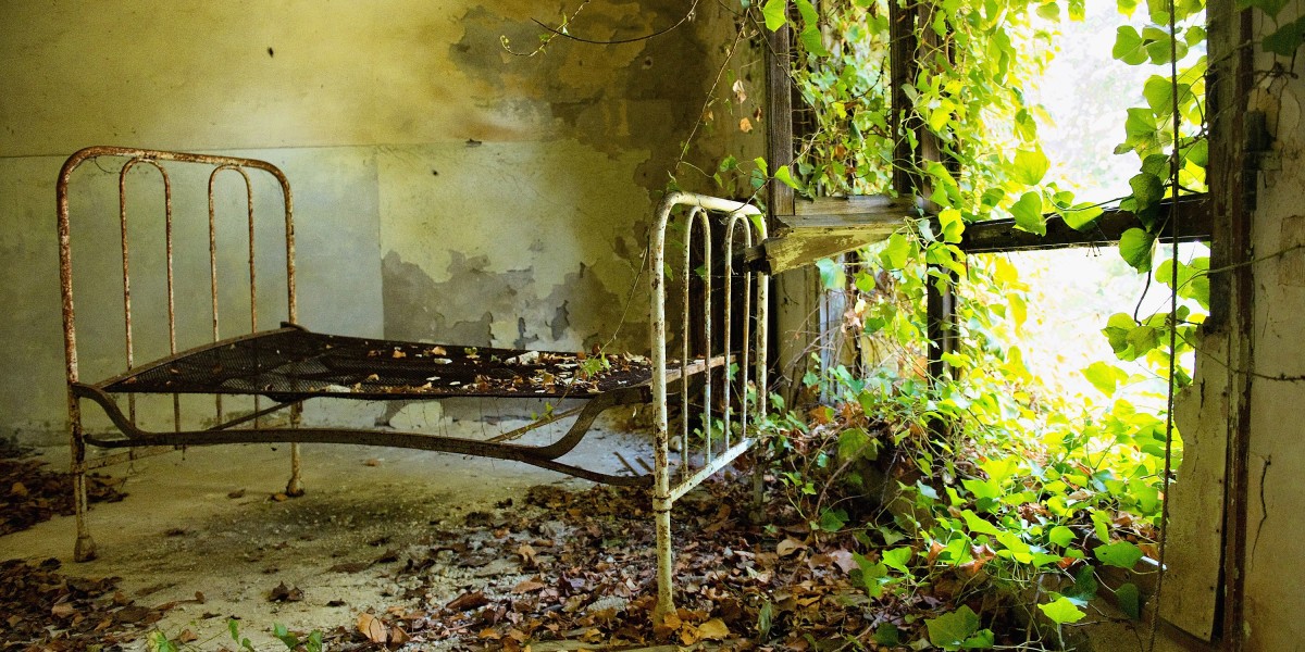 Forbidden island Venice