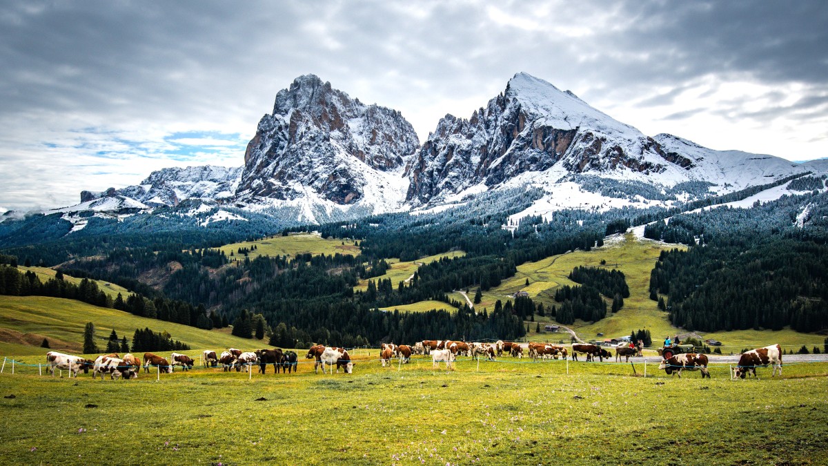 cos'è un maso di montagna