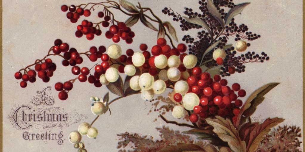 leggenda del vischio