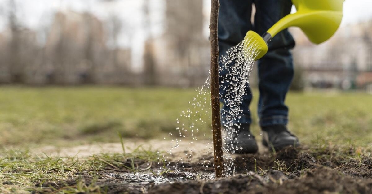innaffiare prato in giardino