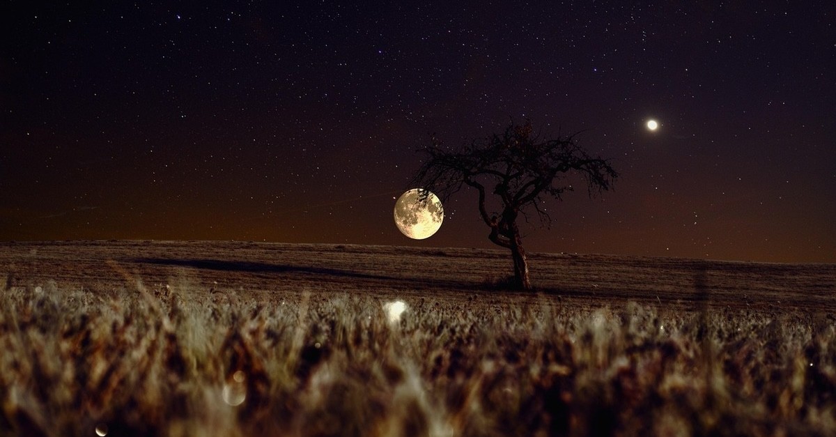 luna in una notte stellata