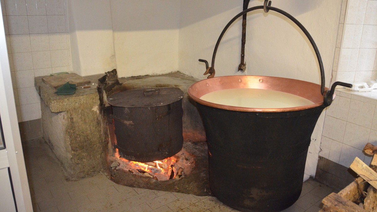 formaggi tipici trentino alto adige