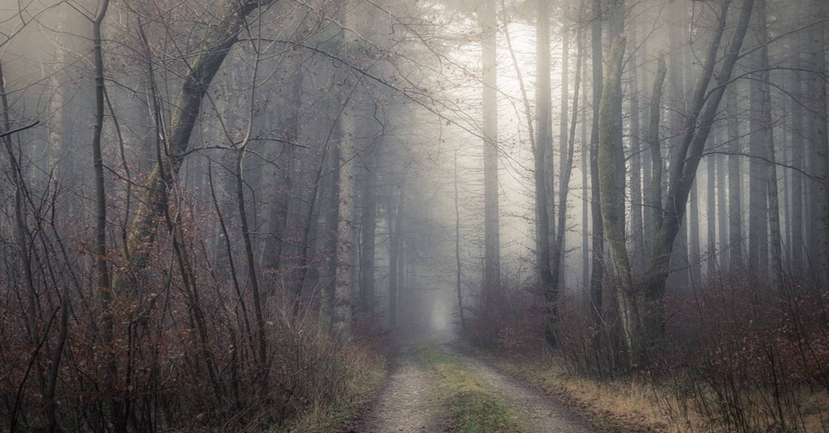 Nebbia