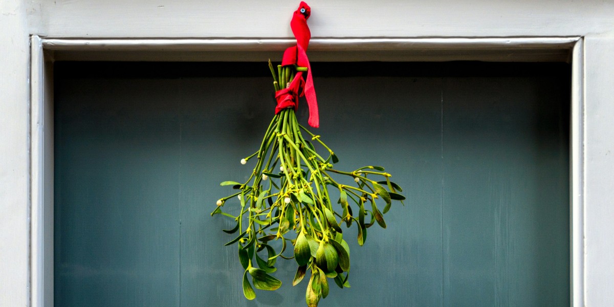 leggenda del vischio