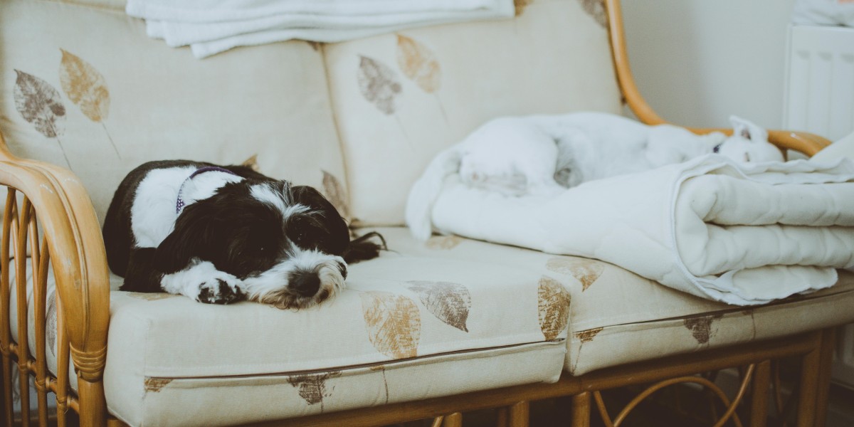 come proteggere gli animali dai botti di capodanno 