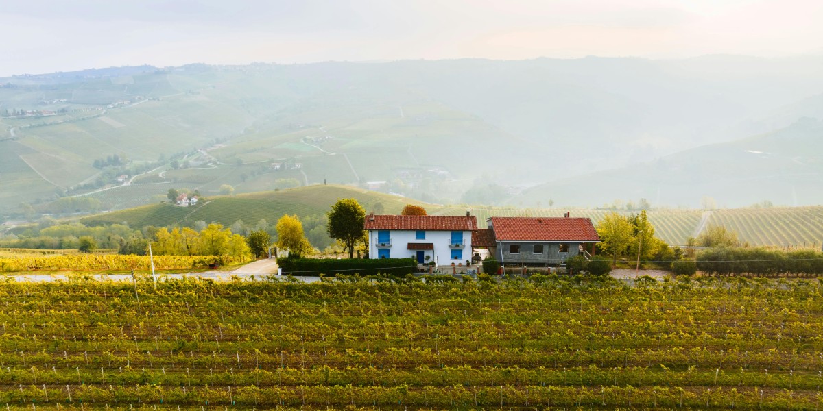 wine districts Italy