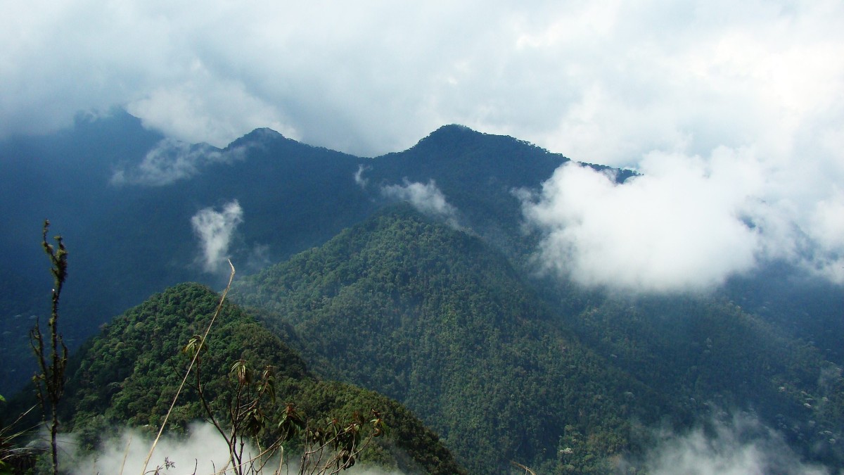 citta piu piovose al mondo