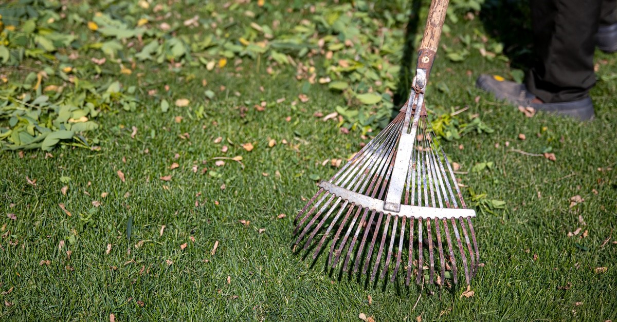 pulizia del giardino