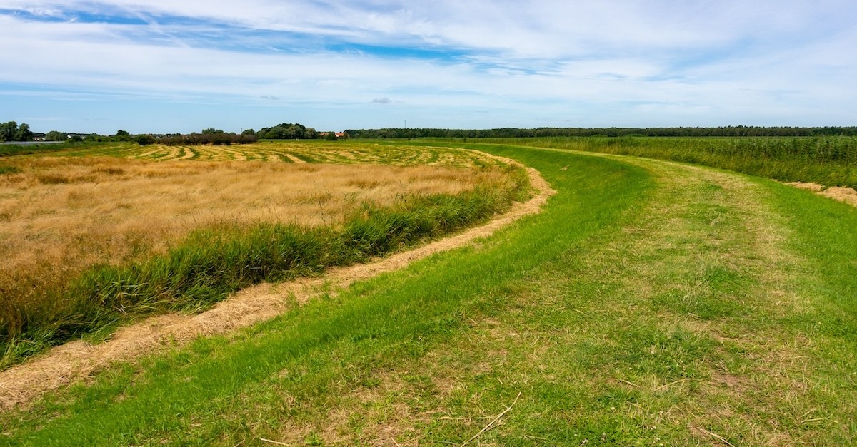 Terreno con valore catastale