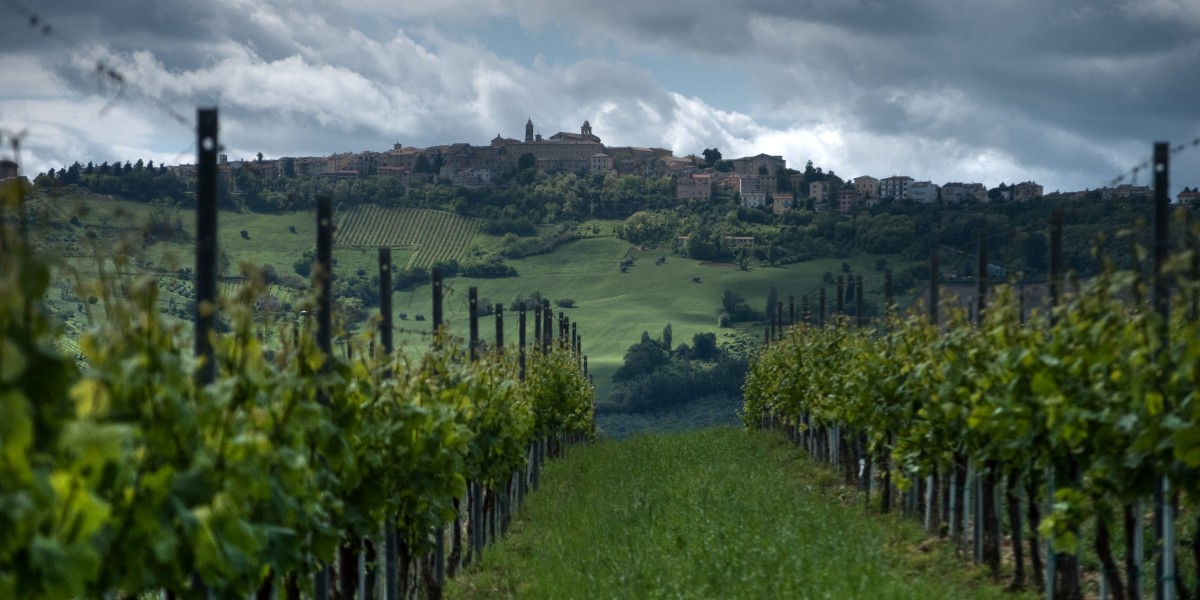 what to do in ischia