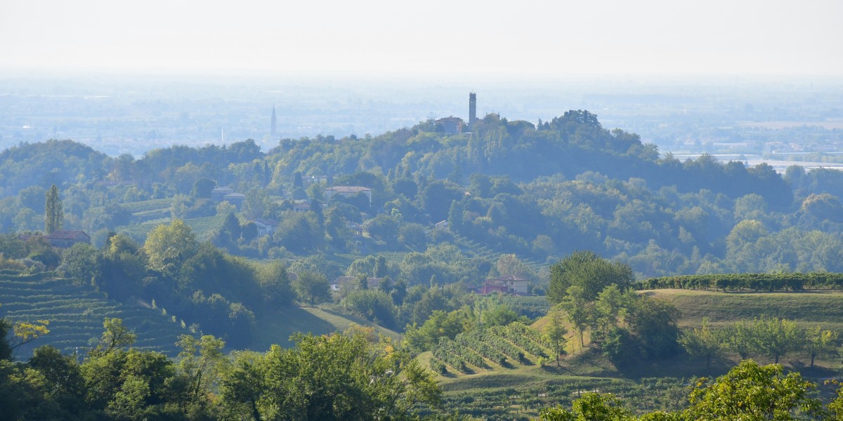 Italian wine regions