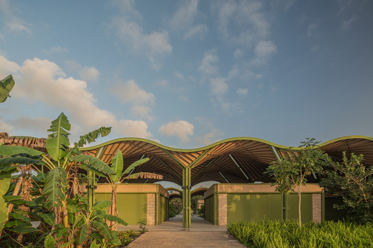 Mercato Nicolás Bravo