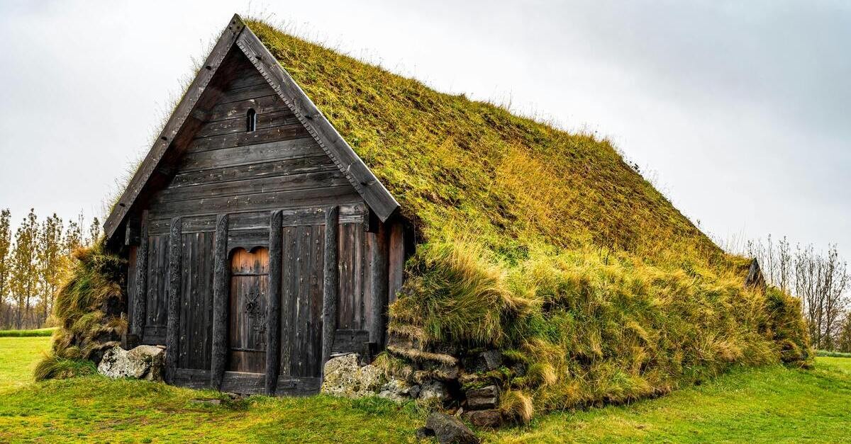Particolare di una casa con legno in erba
