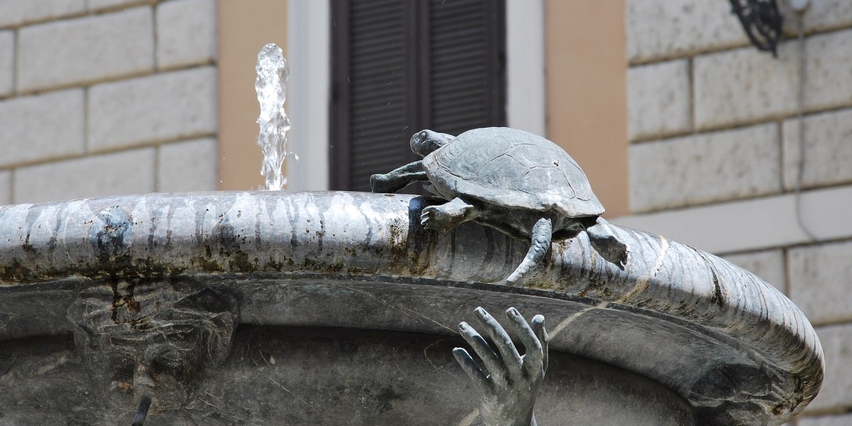 fontana delle Tartarughe 