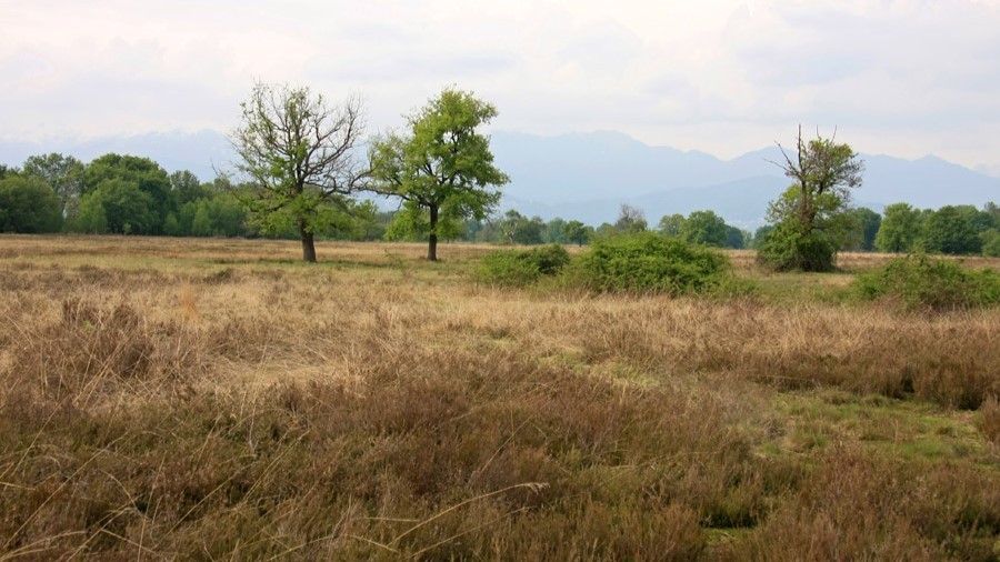 riserva delle baragge