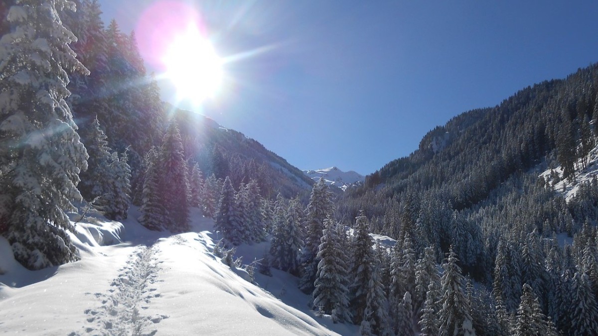 cosa vedere in val di fiemme