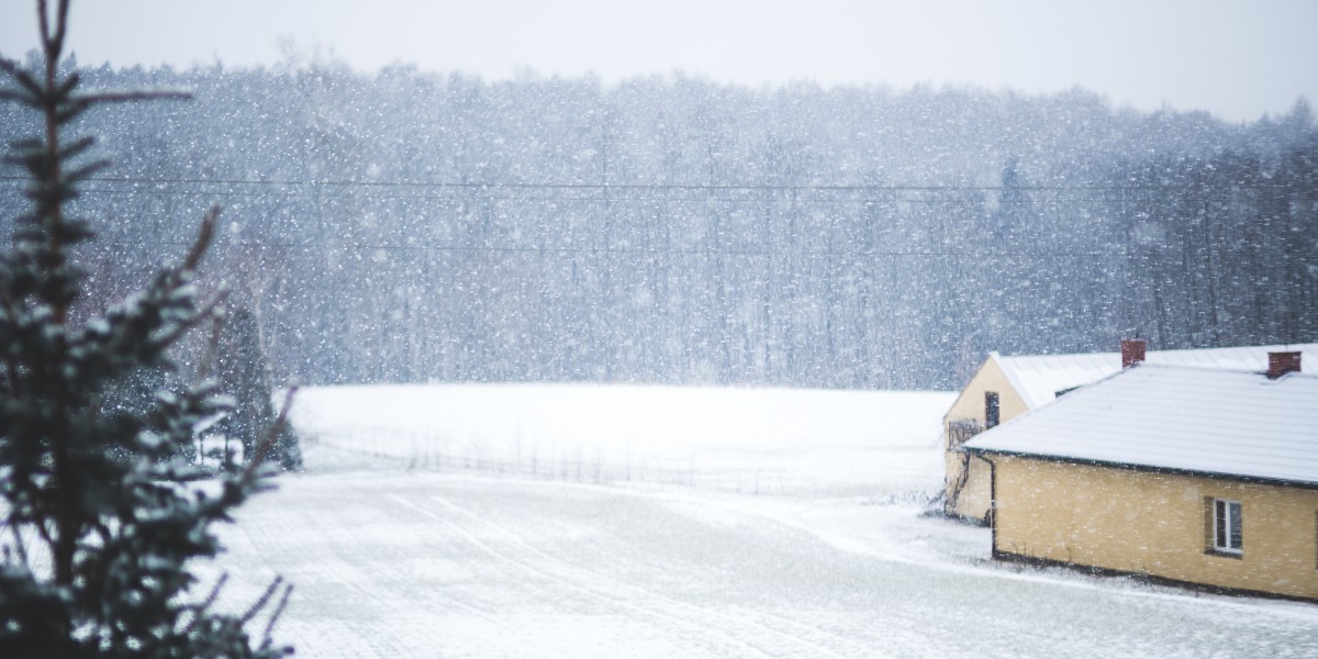 scuole chiuse 7 gennaio 2026