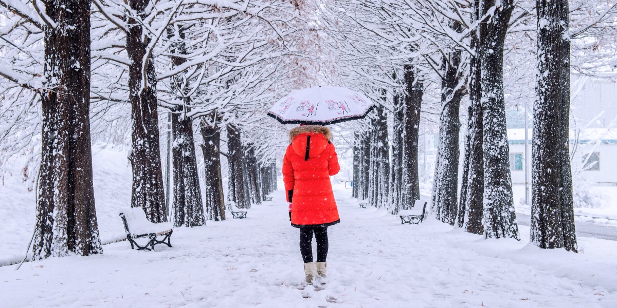 scuole chiuse 7 gennaio 2026