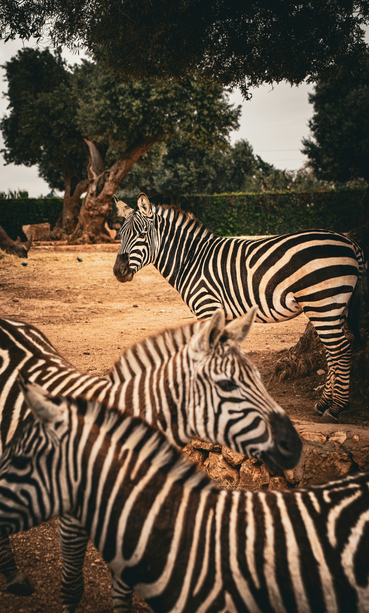 Foto von Dimitar Meddling auf Unsplash