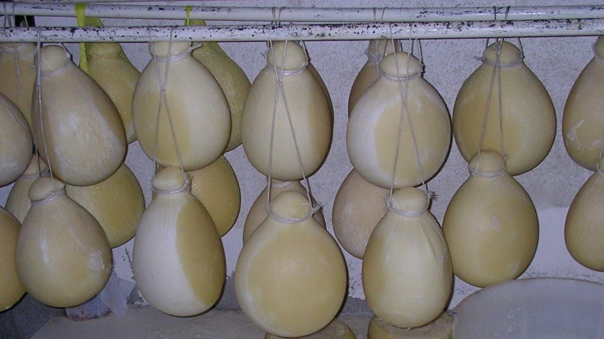 formaggi tipici veneto