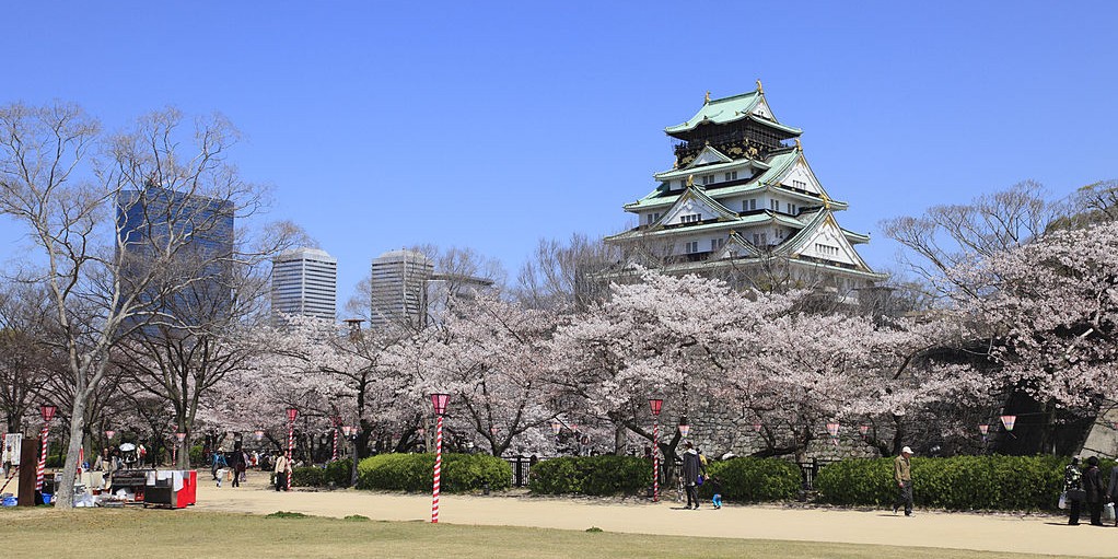 fioritura ciliegi Giappone 2026