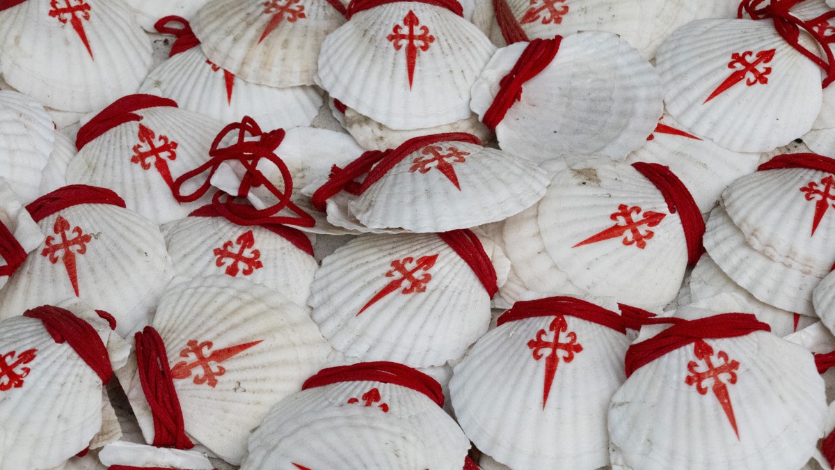 buen camino checco zalone