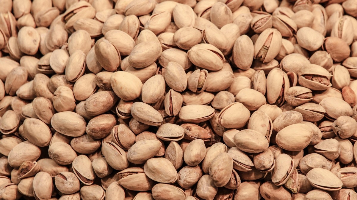 coltivare un pistacchieto