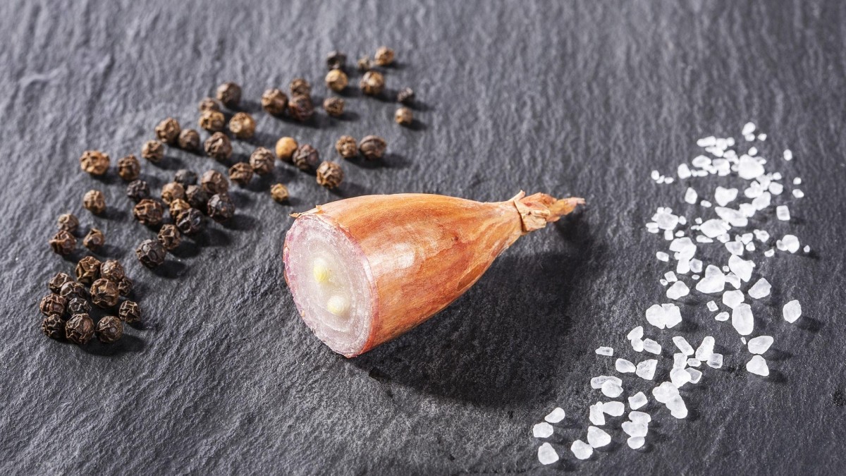 come coltivare lo scalogno