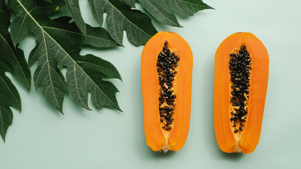 coltivare papaya