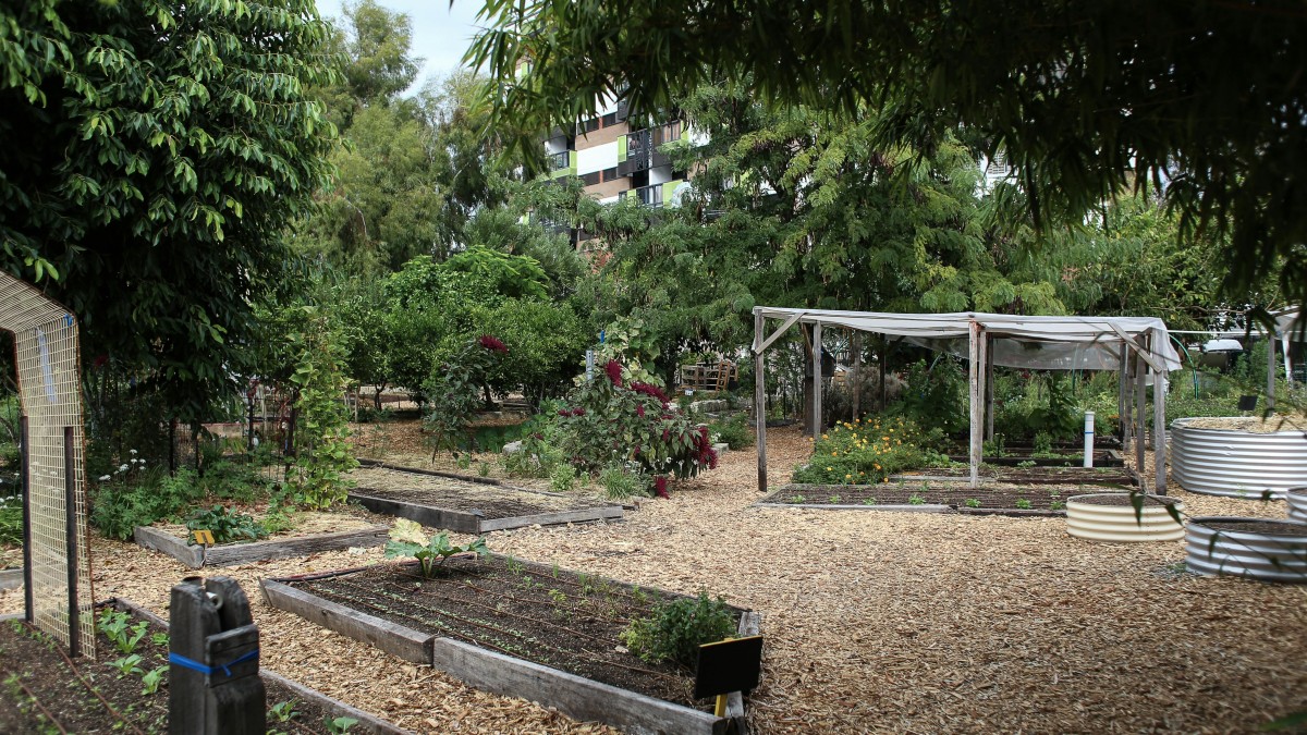 concimi a lenta cessione