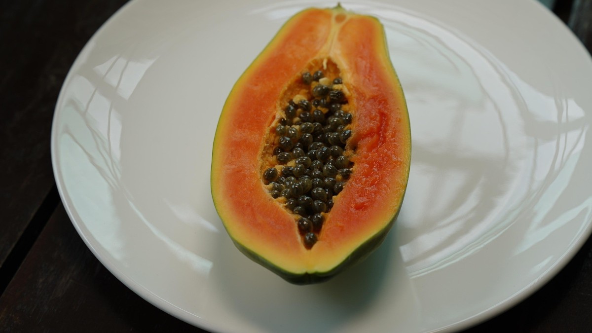 coltivare papaya