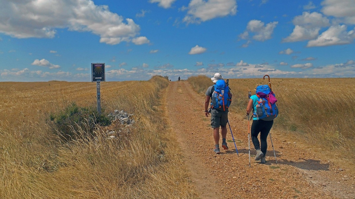 buen camino checco zalone