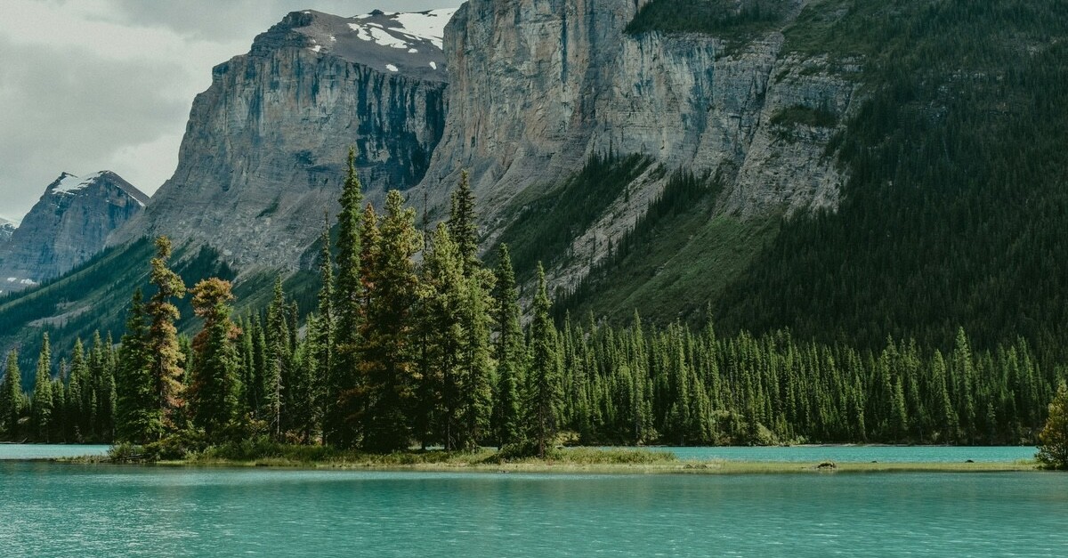 vegetazione a spirit island canada