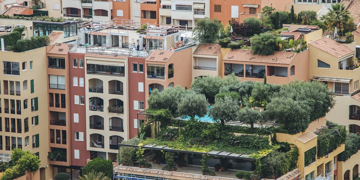 Riresa grandangolare di alberi che crescono in edifici di città