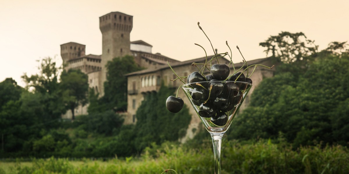 ciliegi in fiore Venaria Reale