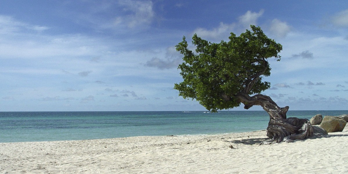 migliori spiagge tripadvisor 