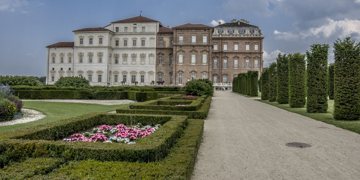 ciliegi in fiore Venaria Reale