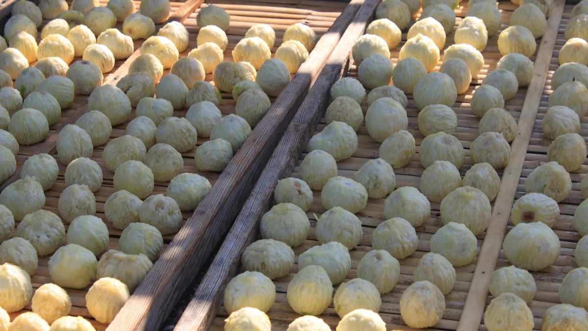 cosa vedere a castellabate