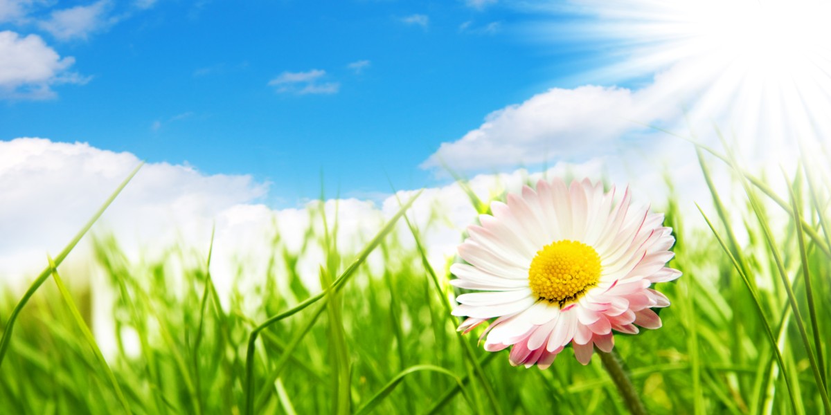 Primavera in settimana