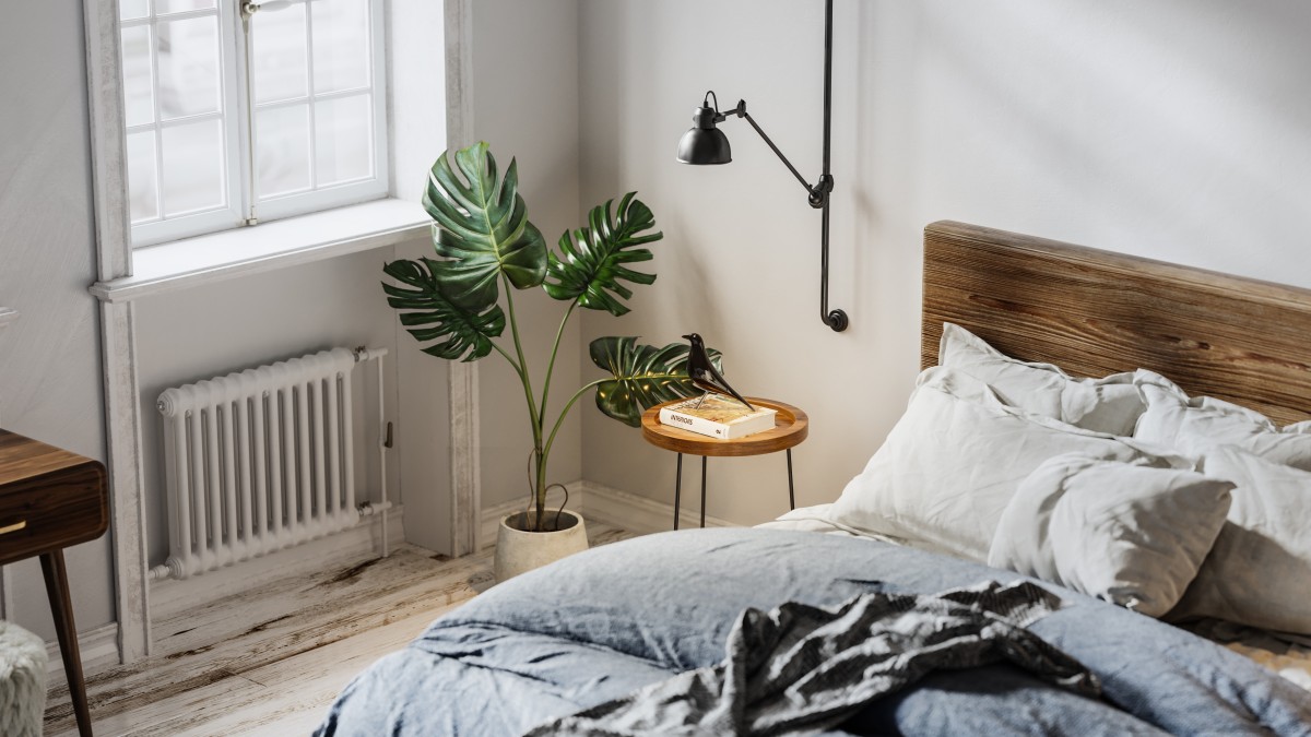 piante che possono stare vicino al termosifone