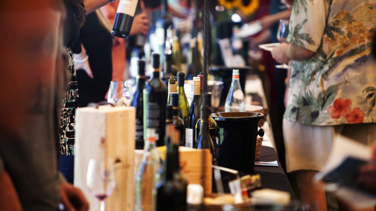 venezia wine festival